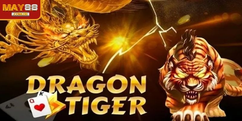 Khám phá dragon tiger